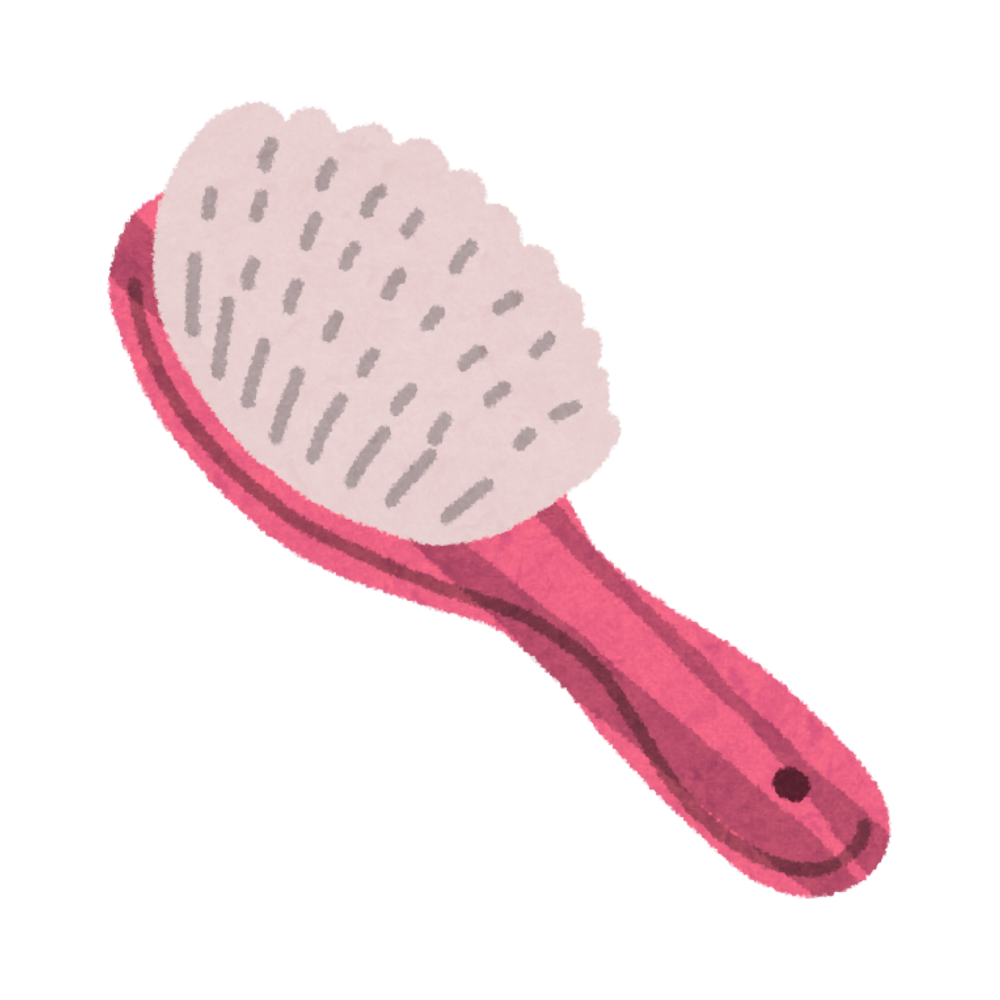 Premium Hair Detangling Brush